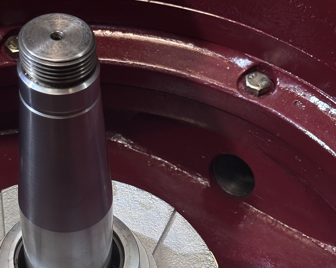 Imagem ilustração para página IMG_5694 1